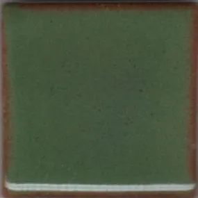 Coyote MBG044 Green Shino Glaze
