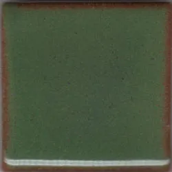 Coyote MBG044 Green Shino Glaze