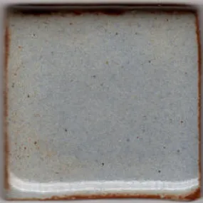 Coyote MBG067 Light Blue Shino Glaze