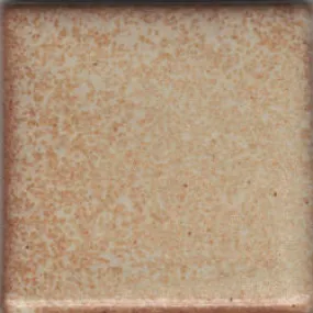 Coyote MBG089 Leopard Shino Glaze