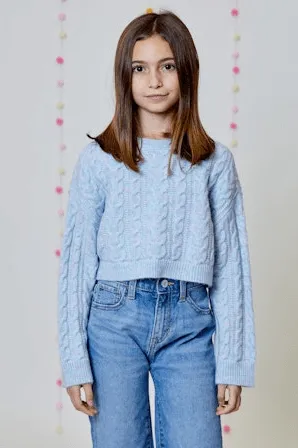 Design History Girl Sweater in Blue Pink Combo