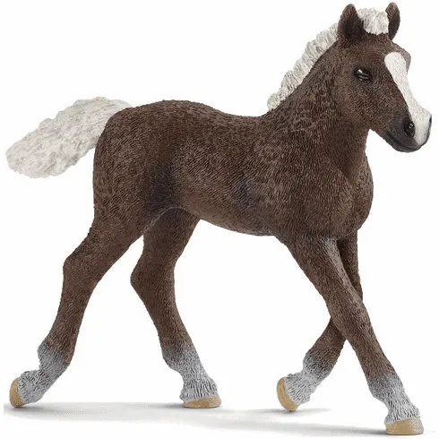 Schleich Black Forest Foal